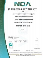 信息系統(tǒng)服務(wù)商交付能力-CN